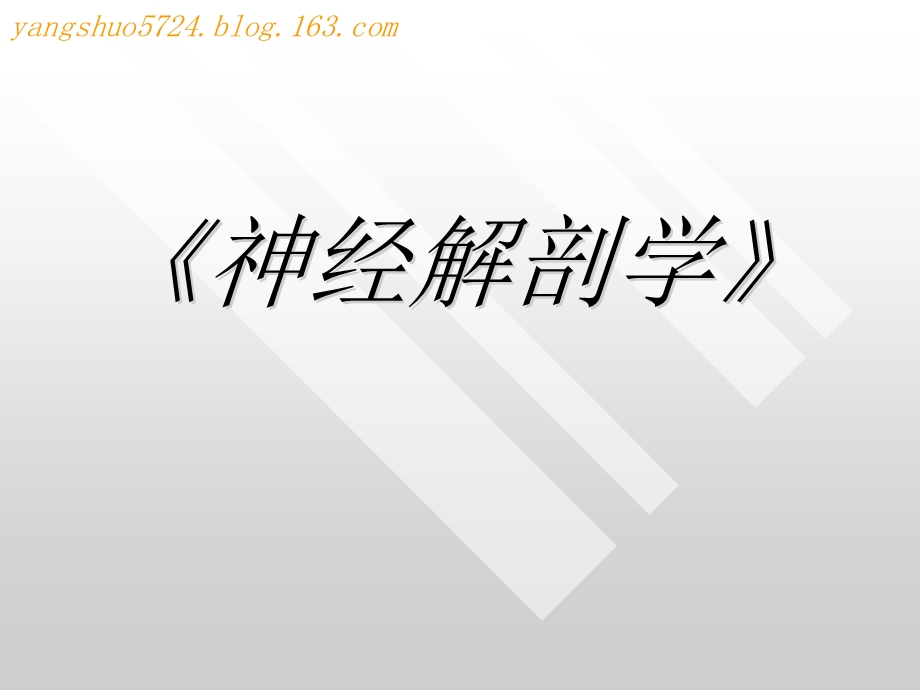 神童系统解剖学之神经系统脑和脊髓的血管静脉名师编辑PPT课件.ppt_第1页