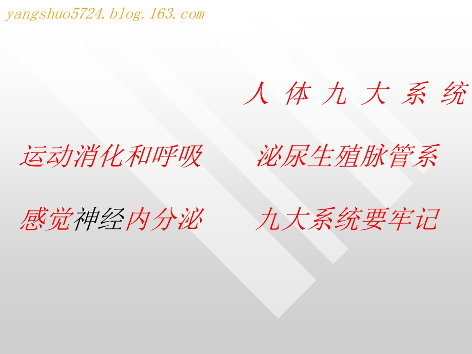 神童系统解剖学之神经系统脑和脊髓的血管静脉名师编辑PPT课件.ppt_第2页