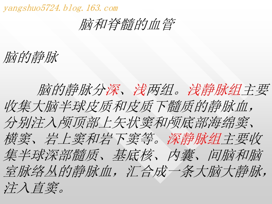 神童系统解剖学之神经系统脑和脊髓的血管静脉名师编辑PPT课件.ppt_第3页