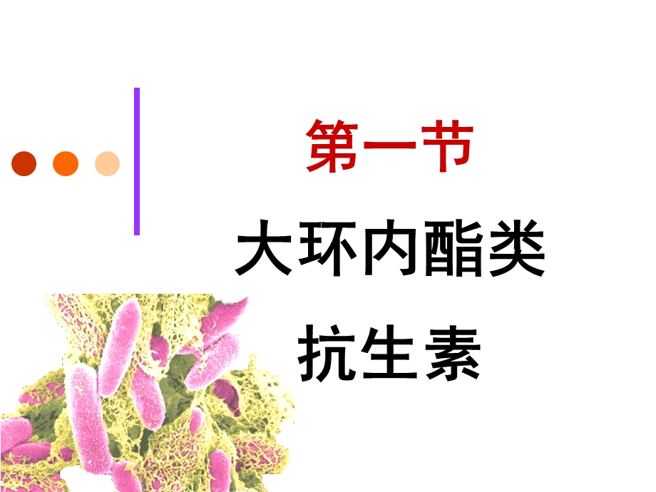 yl40大环内酯类抗生素PPT文档.ppt_第3页