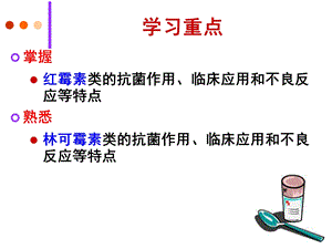 yl40大环内酯类抗生素PPT文档.ppt