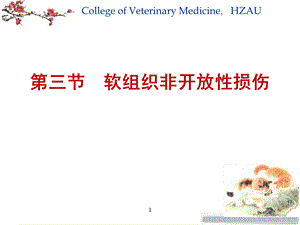 最新7第三章软组织非开发性损伤精选文档PPT文档.ppt