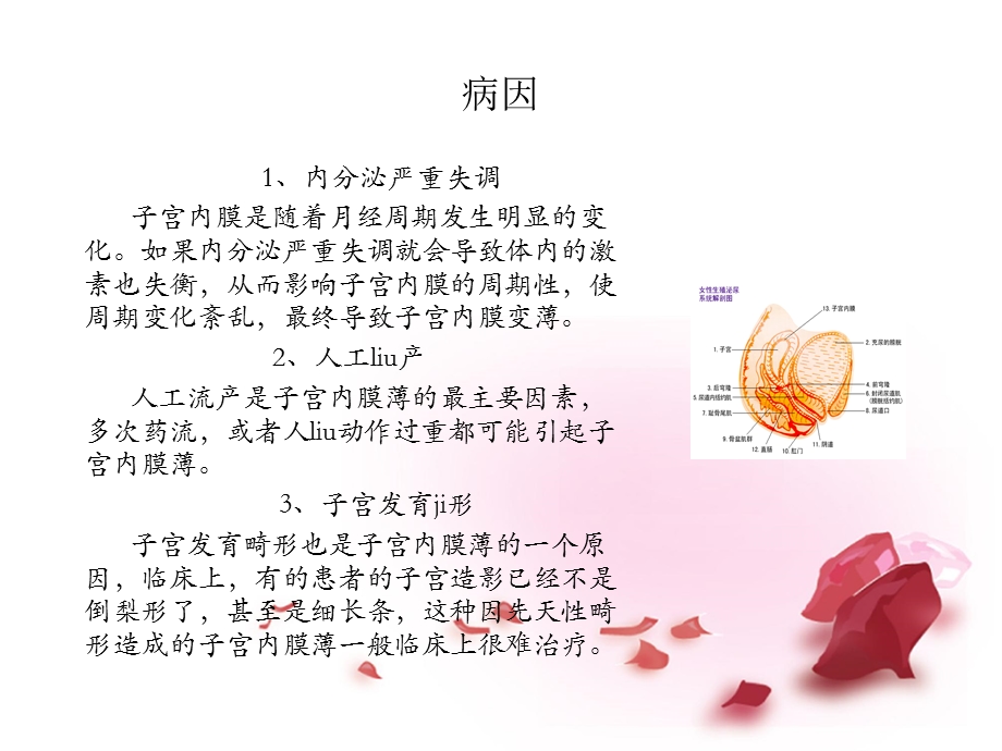 子宫内膜薄吃什么名师编辑PPT课件.ppt_第3页