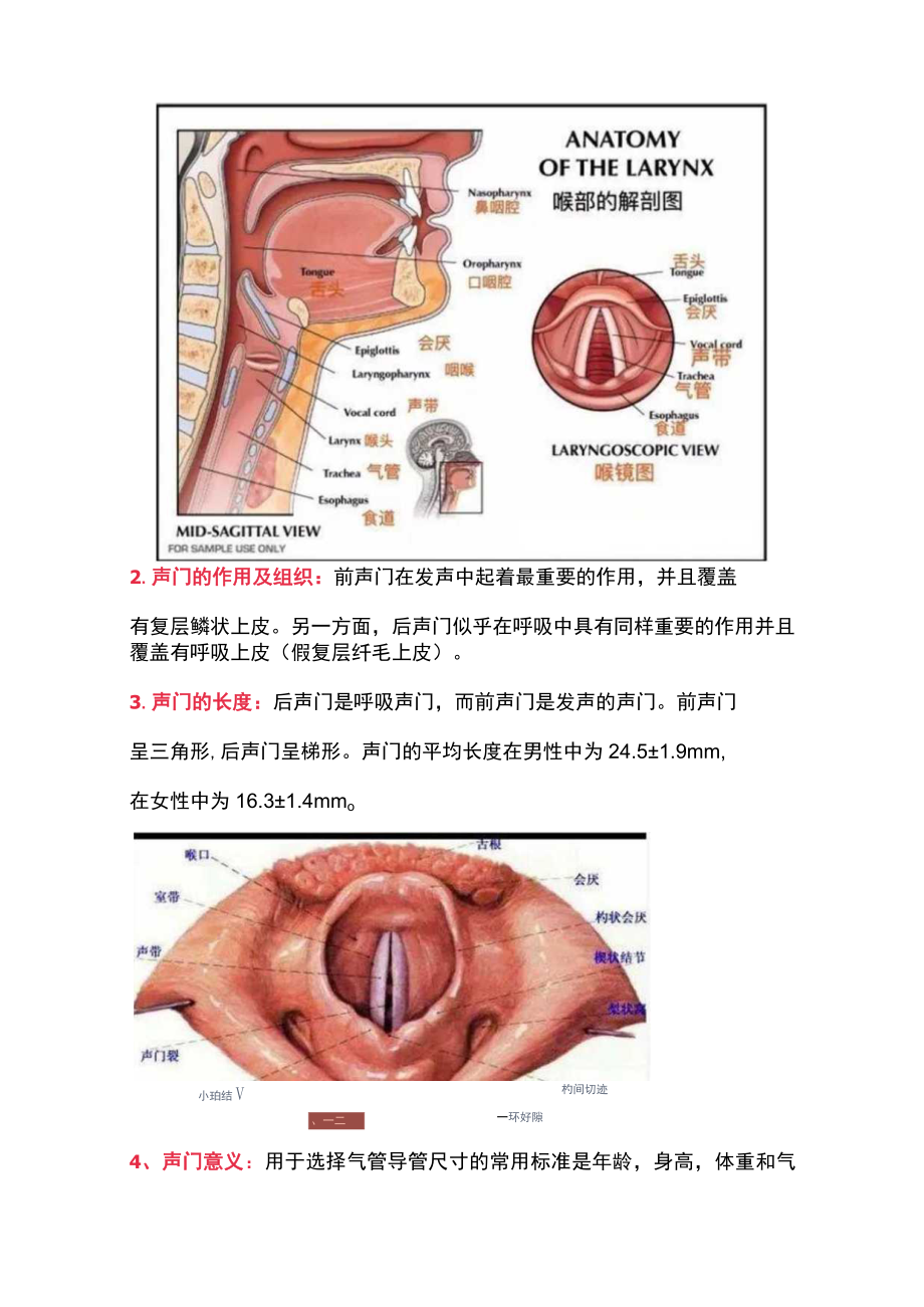 2022清醒患者气管插管技术（完整版）.docx_第3页