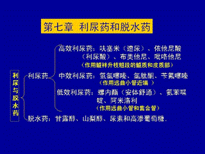 兽医药理学利尿药与脱水药课件PPT文档.ppt