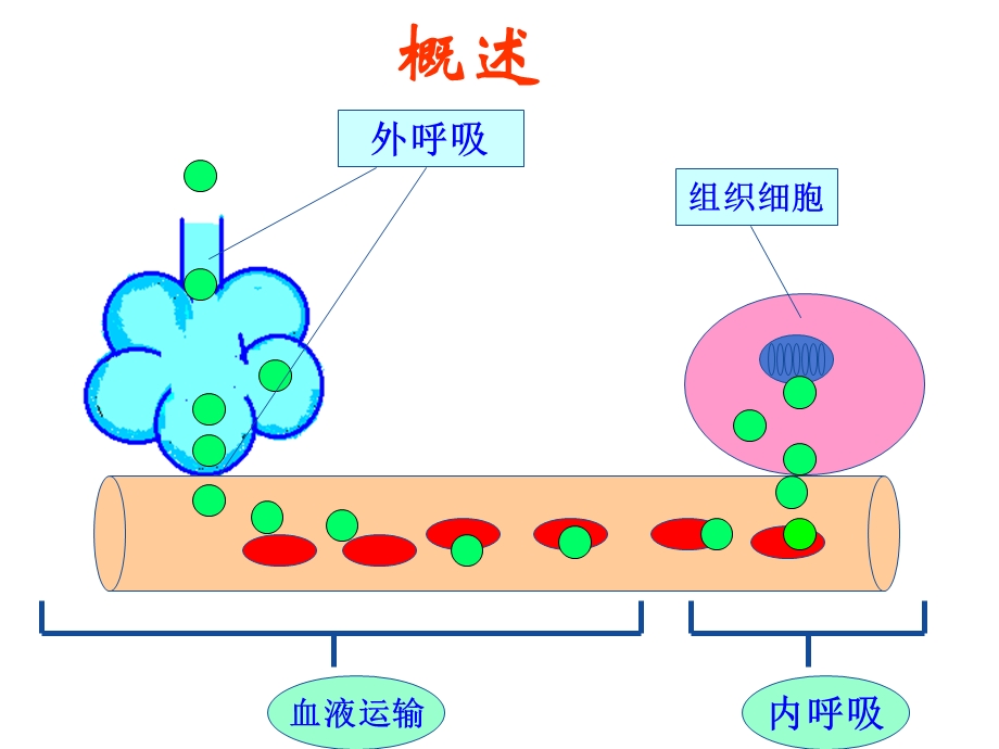 呼吸衰竭本名师编辑PPT课件.ppt_第3页