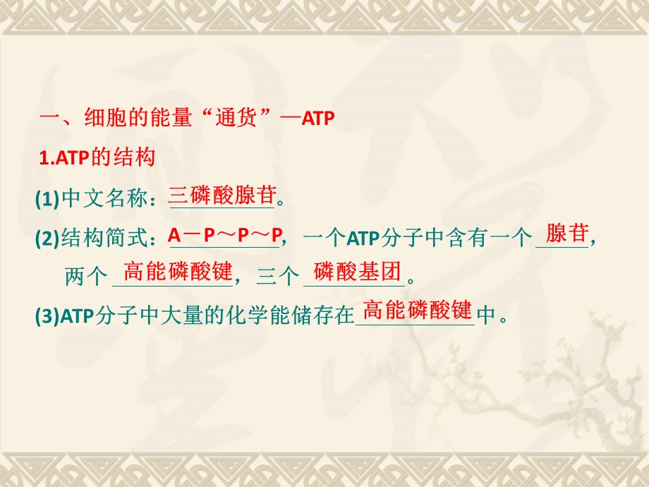 高考生物一轮复习同步课件必修1：第五章第3节细胞的能量“通货”—ATPATP的主要来源—细胞呼PPT文档资料.ppt_第1页