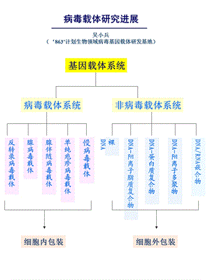 病毒载体研究进展名师编辑PPT课件.ppt