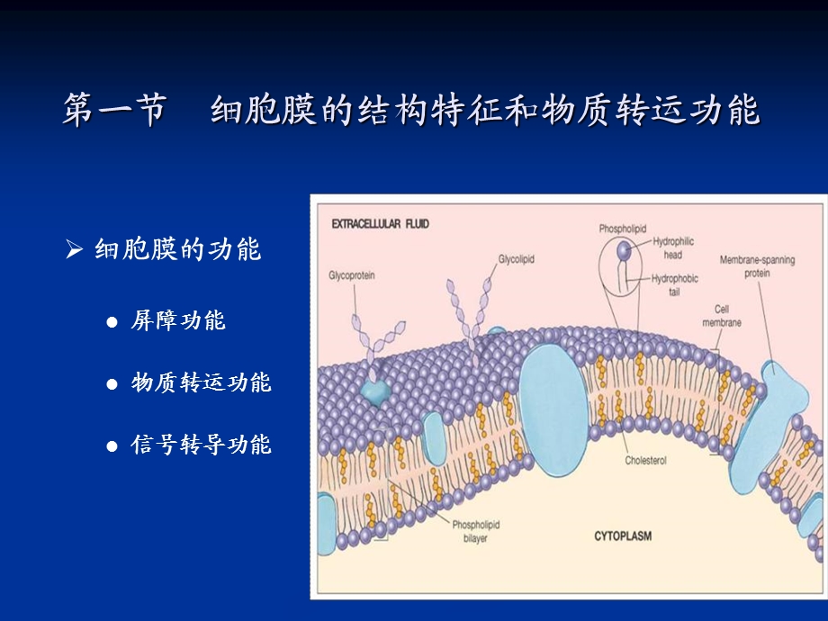 动物生理学第一二节细胞的基本功能文档资料.ppt_第1页