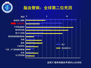 TXL脑血管精选文档.ppt