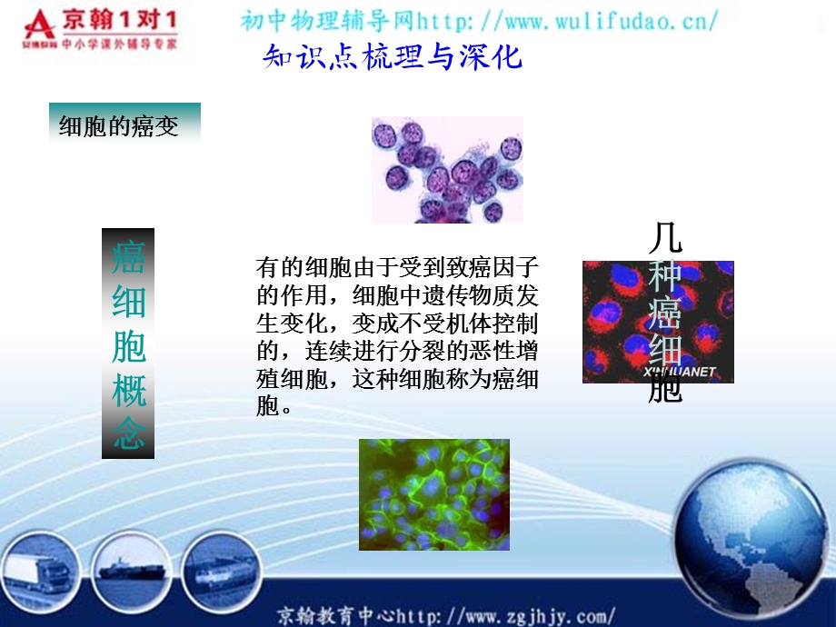 高考生物一轮复习课件癌细胞的主要特征精选文档.ppt_第2页