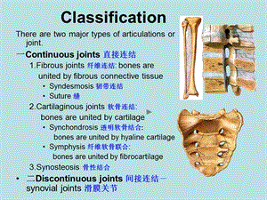 关节学总论PPT课件PPT文档.ppt