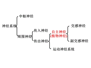 05第五章传出神经系统药理学概论文档资料.ppt