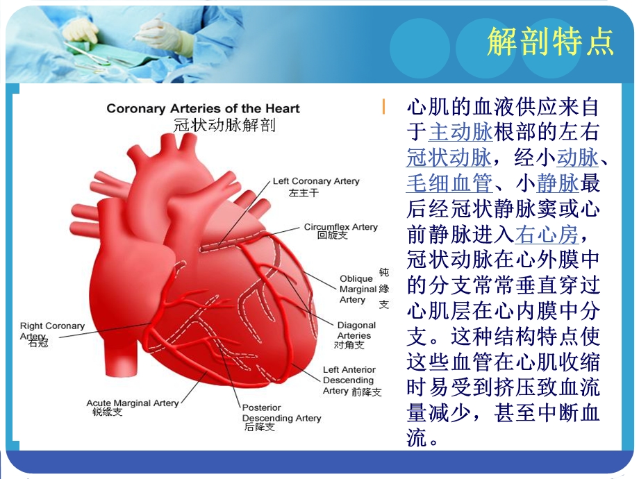 冠状动脉搭桥的术后护理ppt课件文档资料.ppt_第3页