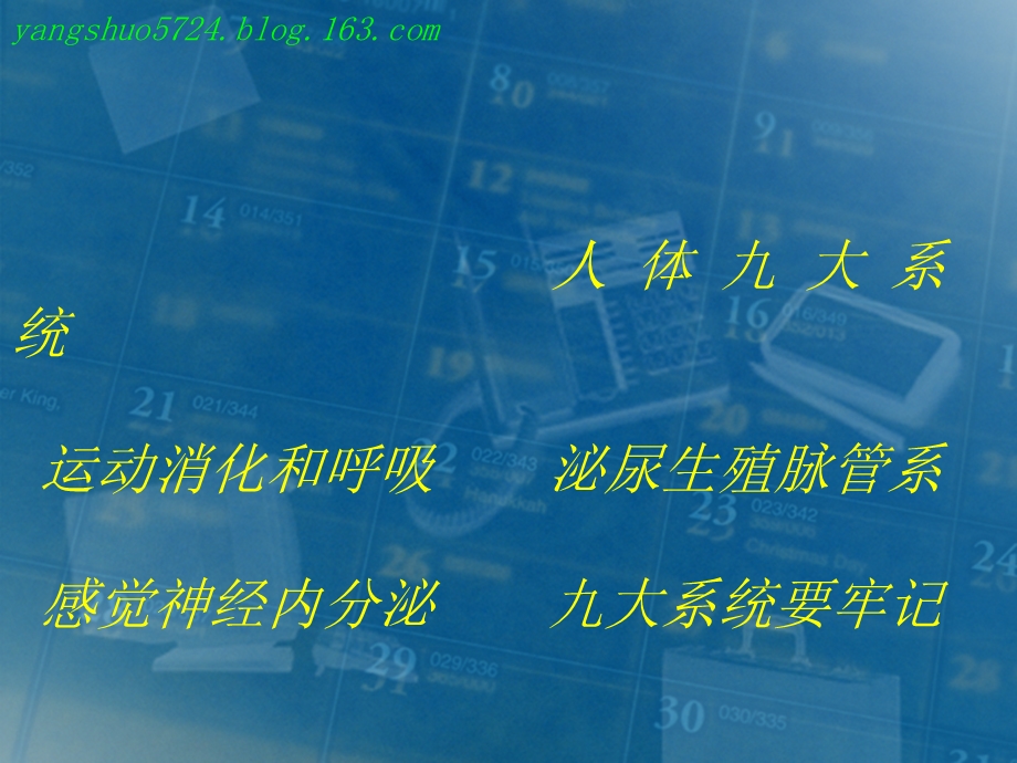 神童系统解剖学之神经系统脑和脊髓的血管脊髓名师编辑PPT课件.ppt_第2页