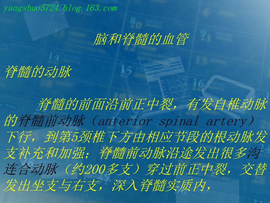 神童系统解剖学之神经系统脑和脊髓的血管脊髓名师编辑PPT课件.ppt_第3页