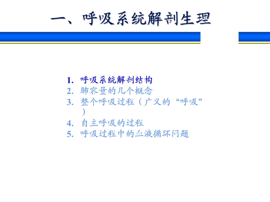 呼吸系统解剖生理与呼吸机的基本模式文档资料.ppt_第2页