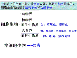 高考生物总复习病毒文档资料.ppt