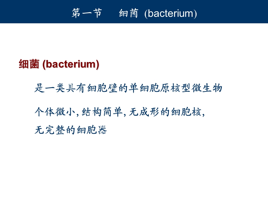 0203细菌的形态与结构PPT课件.ppt_第1页