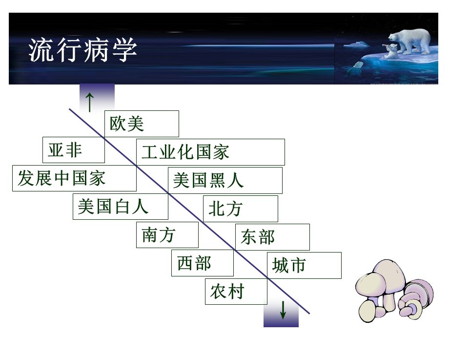 原发性高血压合理用及其护理文档资料.ppt_第3页