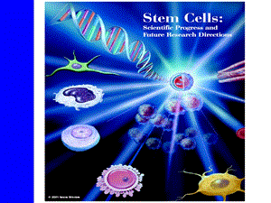 干细胞生物学文档资料.ppt