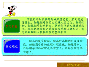 妊娠生理PPT课件文档资料.ppt