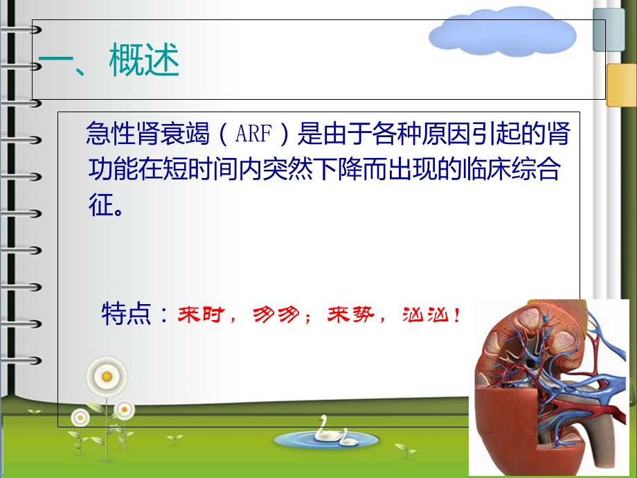 急性肾衰竭的护理1精选文档.ppt_第2页