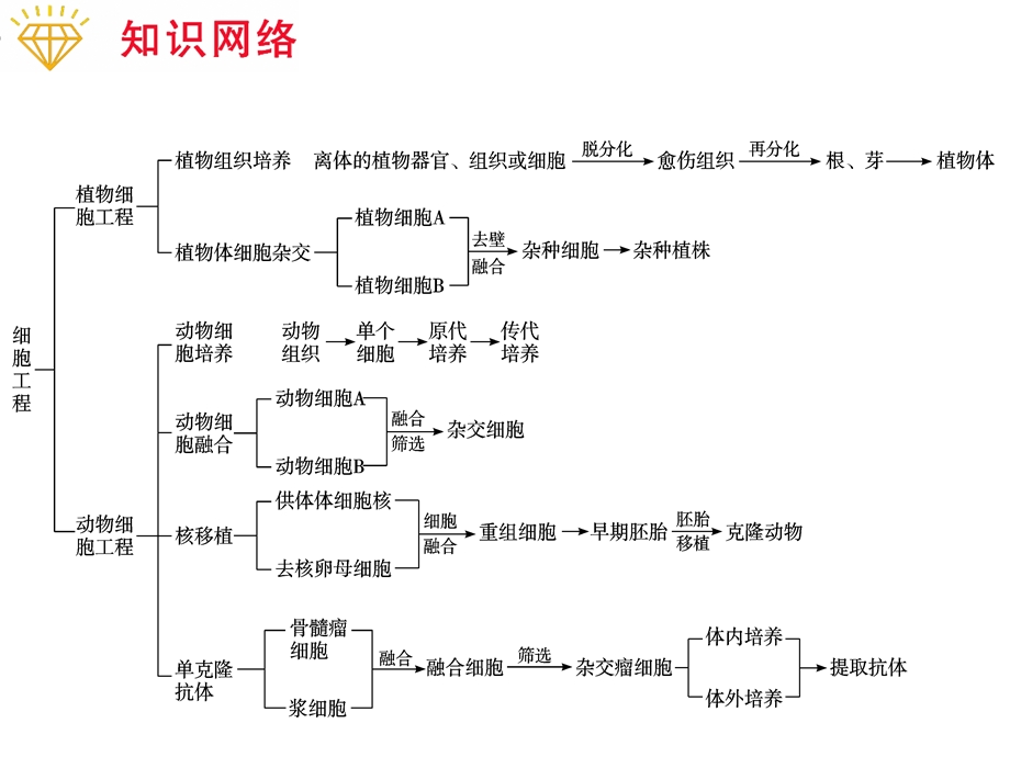 专题4 细胞工程精选文档.ppt_第1页