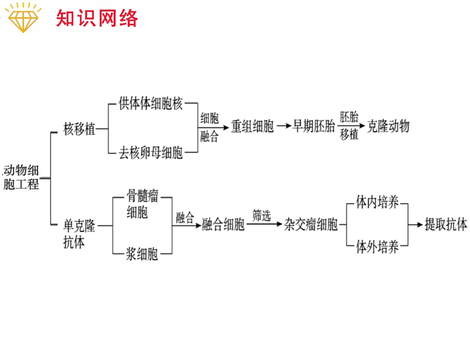 专题4 细胞工程精选文档.ppt_第3页