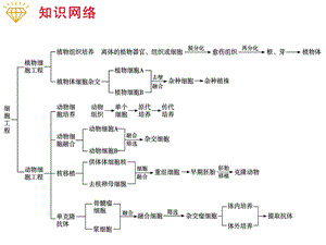 专题4 细胞工程精选文档.ppt