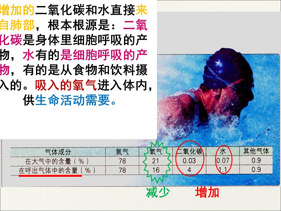 发生在肺内的气体交换(20)文档资料.ppt_第2页