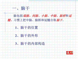 17脑干和脑神经PPT文档资料.ppt