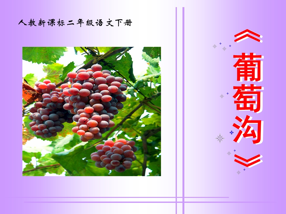 葡萄沟教学课件3.ppt_第1页