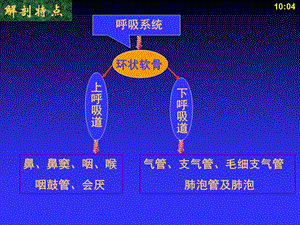 儿科护理学 8呼吸系统疾病患儿护理文档资料.ppt