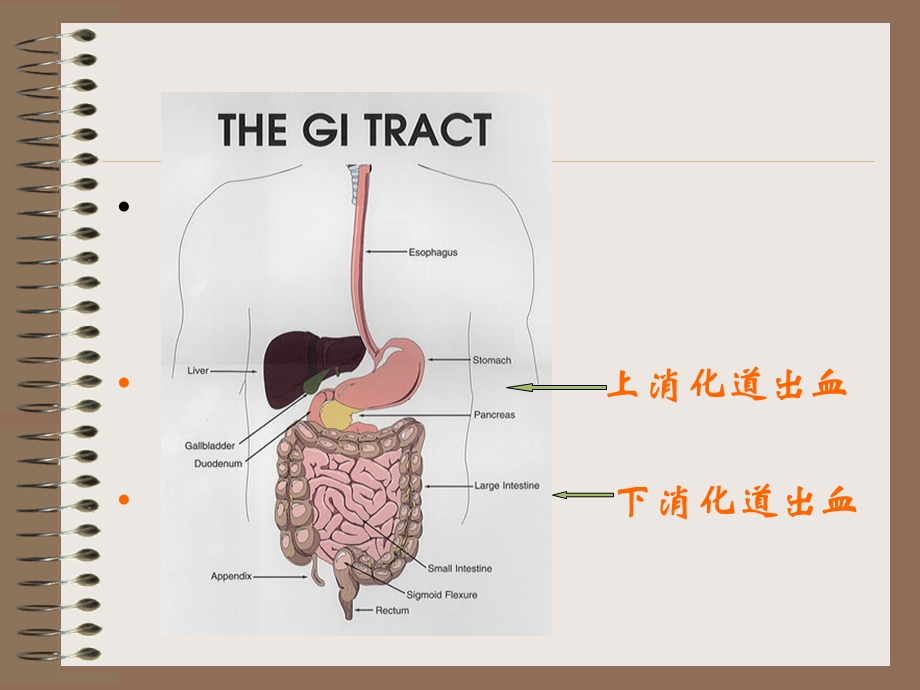 上消道大量出血精选文档.ppt_第1页