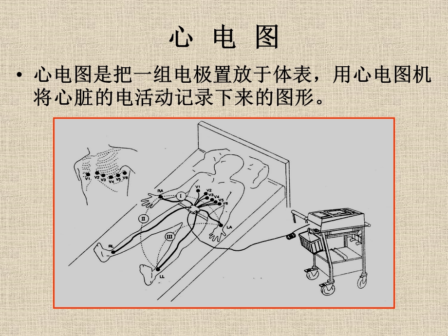 临床心电图基础知识上文档资料.ppt_第3页