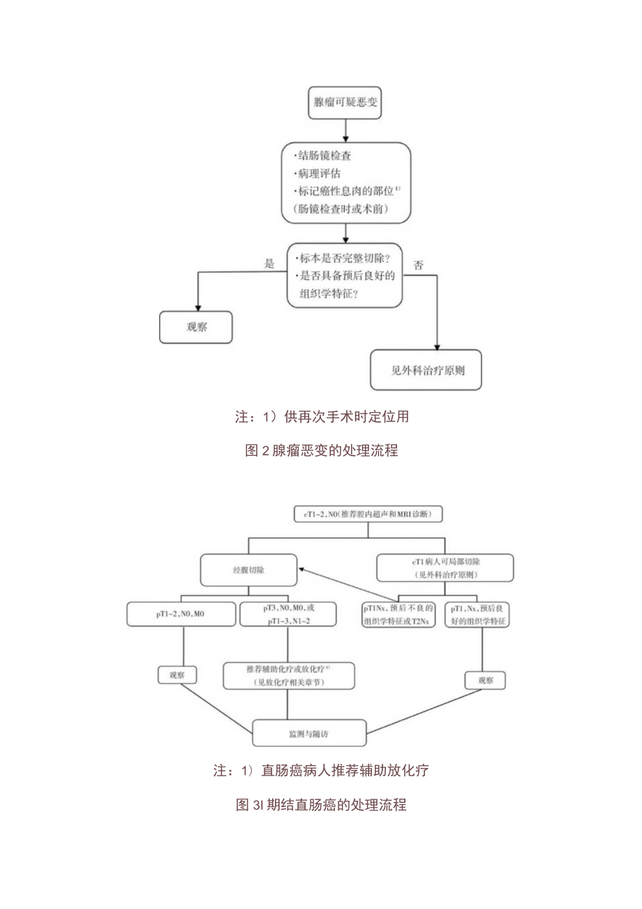 最新：结直肠癌诊疗标准处理流程图（附图）.docx_第2页