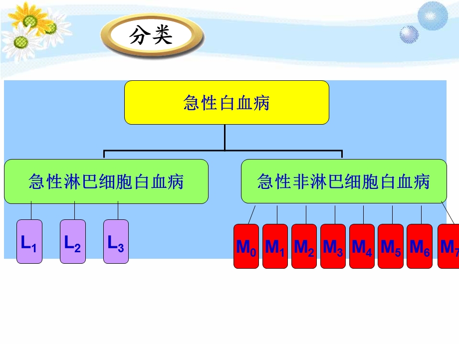 急性白血病护理查房修改文档资料.ppt_第3页