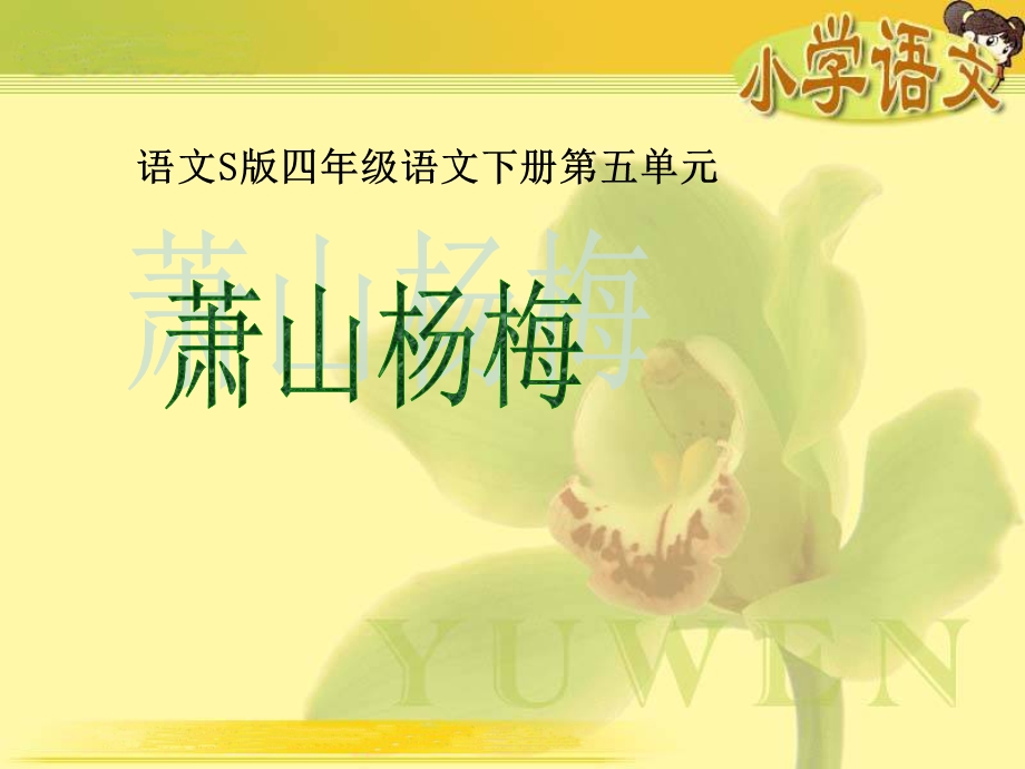 萧山杨梅课件1.ppt_第1页