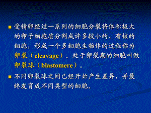 卵细胞分裂PPT文档.ppt