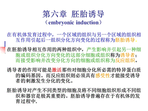 A第6章胚胎诱导名师编辑PPT课件.ppt