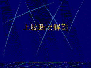 四肢断层解剖和ct、mrippt课件文档资料.ppt