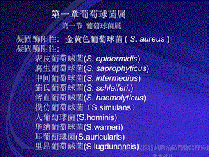 临床常见的致病球菌文档资料.ppt