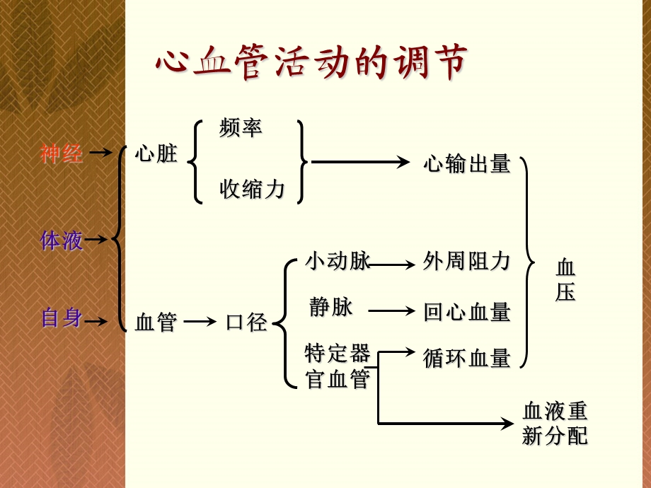 动物生理学2.3 心血管活动调节文档资料.ppt_第1页