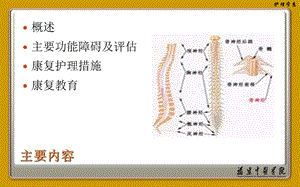 常见疾病康复护理精选文档.ppt