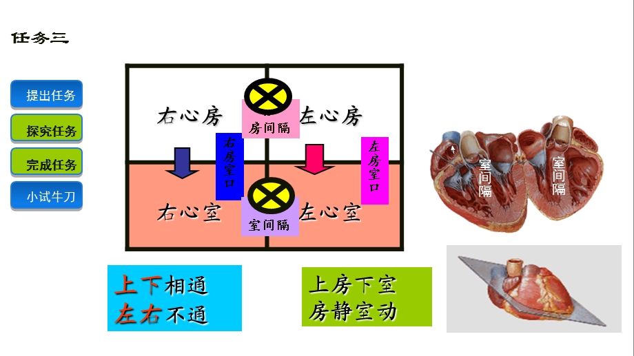 心腔与血管连通名师编辑PPT课件.ppt_第1页