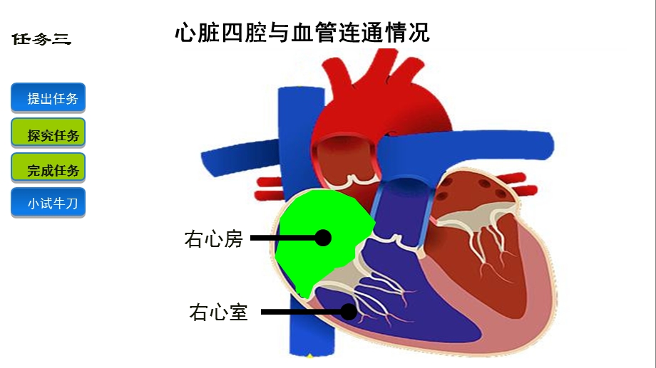 心腔与血管连通名师编辑PPT课件.ppt_第2页