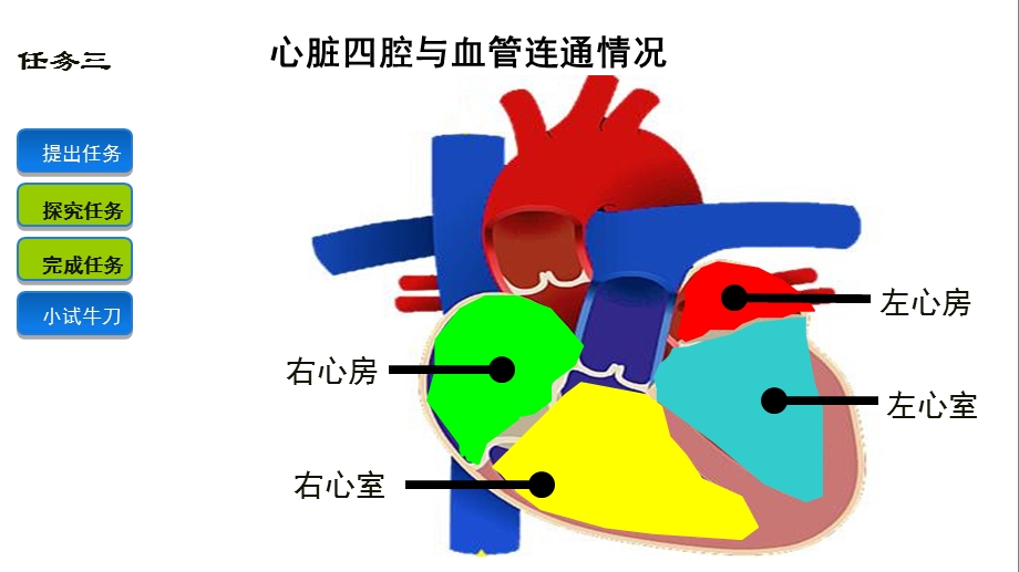 心腔与血管连通名师编辑PPT课件.ppt_第3页