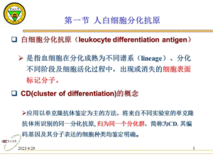 7白细胞分化抗原与粘附分子文档资料.ppt