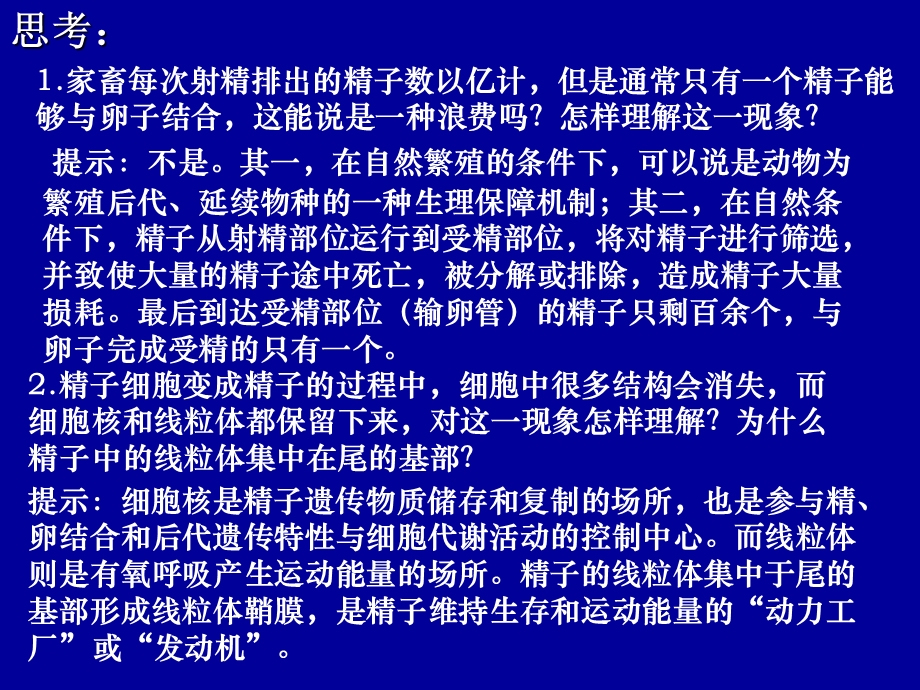 哺乳动物生殖细胞的发生和胚胎发育的基本过程PPT文档.ppt_第3页